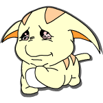 A sad yellow Poogle.